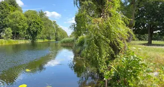 von_poll_real_estate_property_25412011_image_20