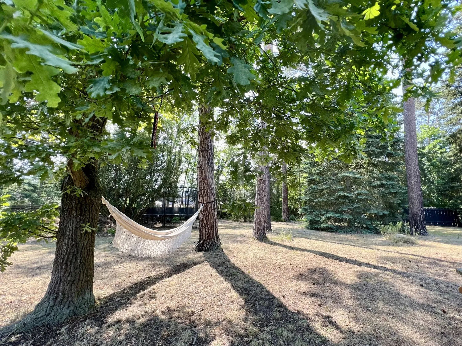 Grundstück