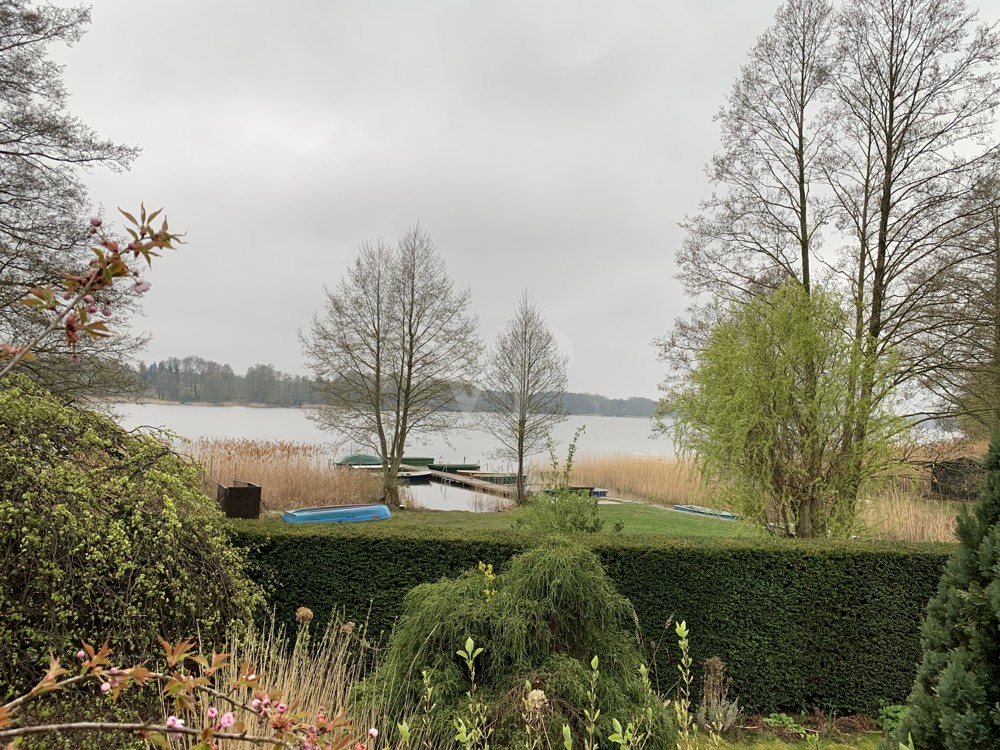 Frühjahrs-Impression