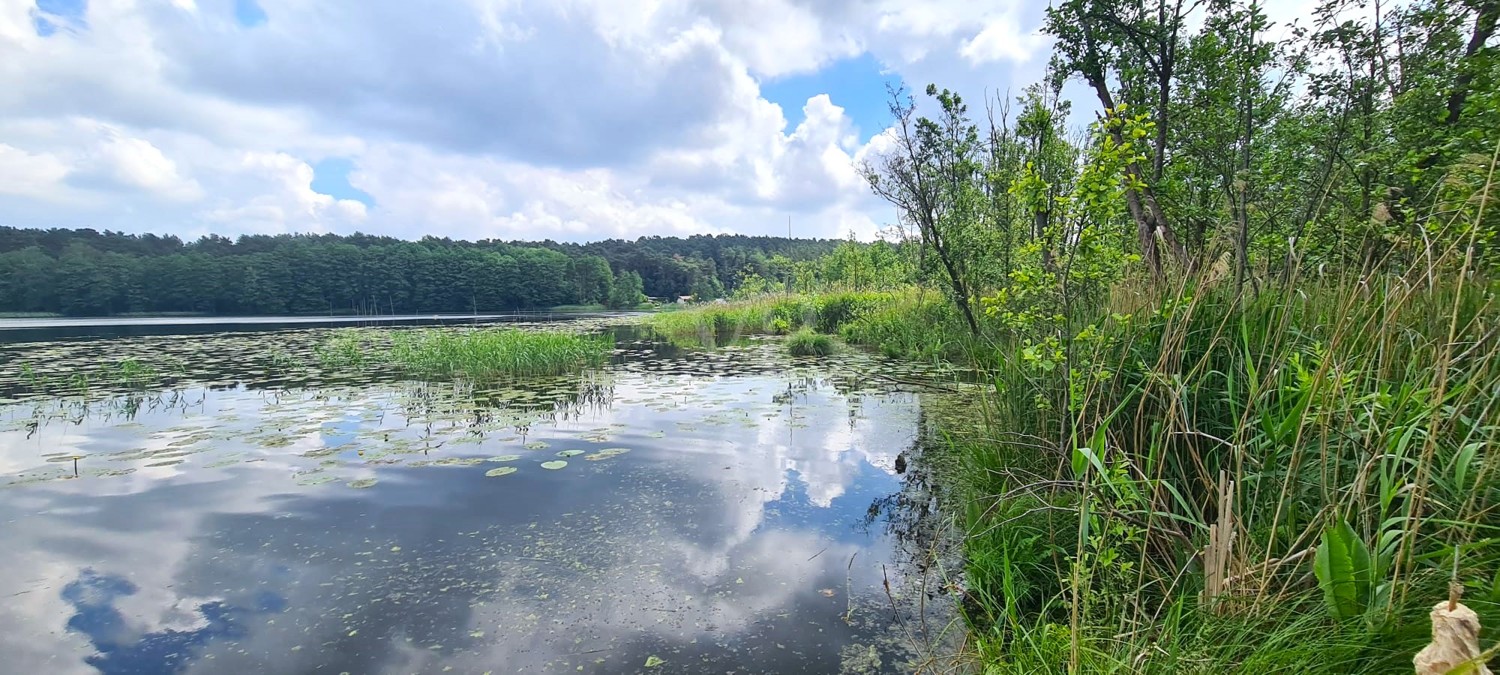 Blick zum Bauersee