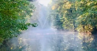 von_poll_real_estate_property_25412029_image_15