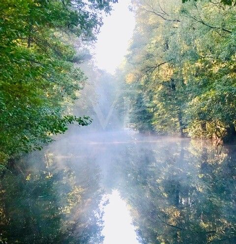 Werbellinkanal