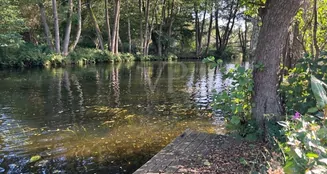 von_poll_real_estate_property_25412029_image_16