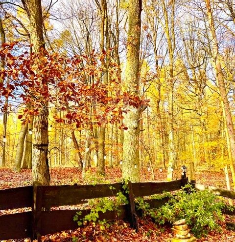 Herbst-Impression