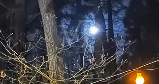 von_poll_real_estate_property_25412029_image_14