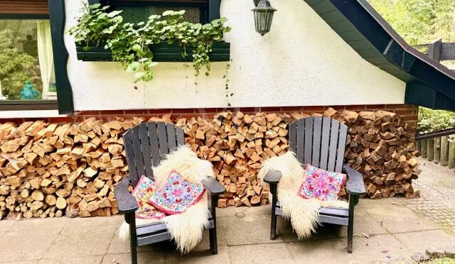 Traumplatz mit Blick in den Wald