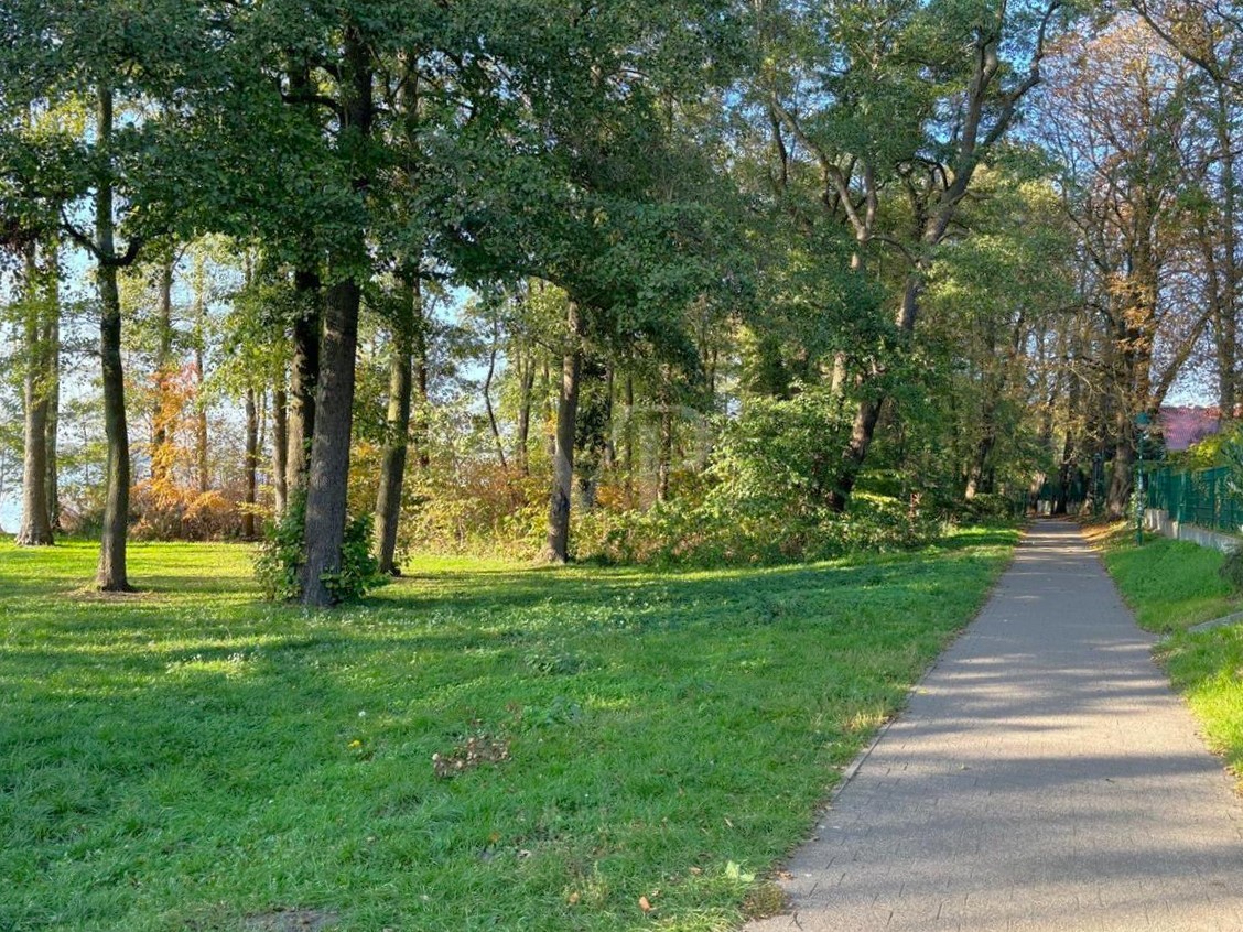 Wanderweg am Wandlitzsee