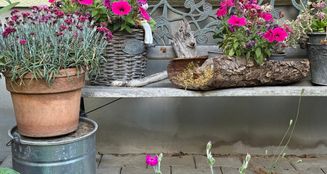 von_poll_real_estate_property_25412008A_image_16