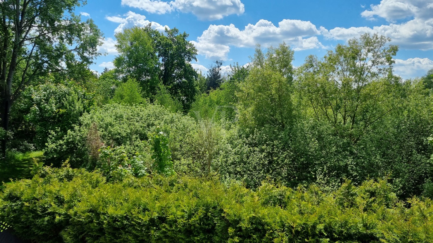 Blick in die Natur