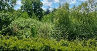 von_poll_real_estate_property_25412018_image_9