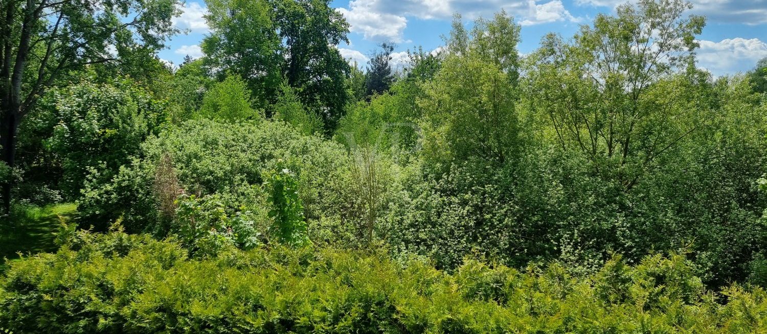 Blick in die Natur