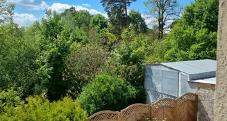 von_poll_real_estate_property_25412018_image_15