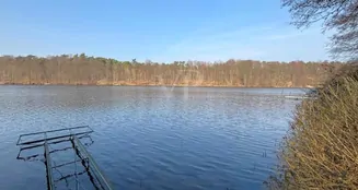 von_poll_real_estate_property_25016003_image_0