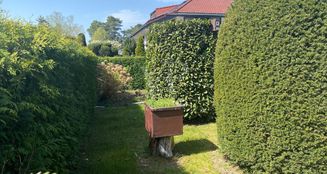 von_poll_real_estate_property_25412014_image_6
