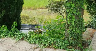 von_poll_real_estate_property_25412020_image_10