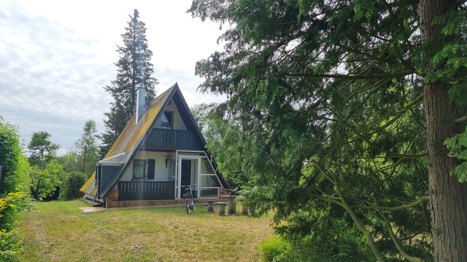 Blick in den Garten
