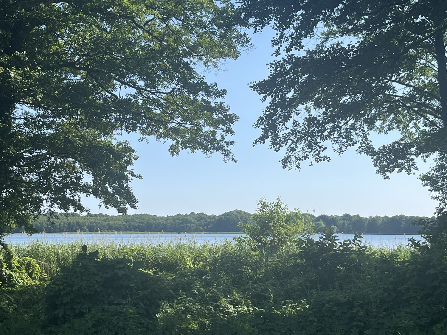 Wandlitzsee