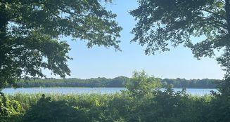 von_poll_real_estate_property_25412023_image_22