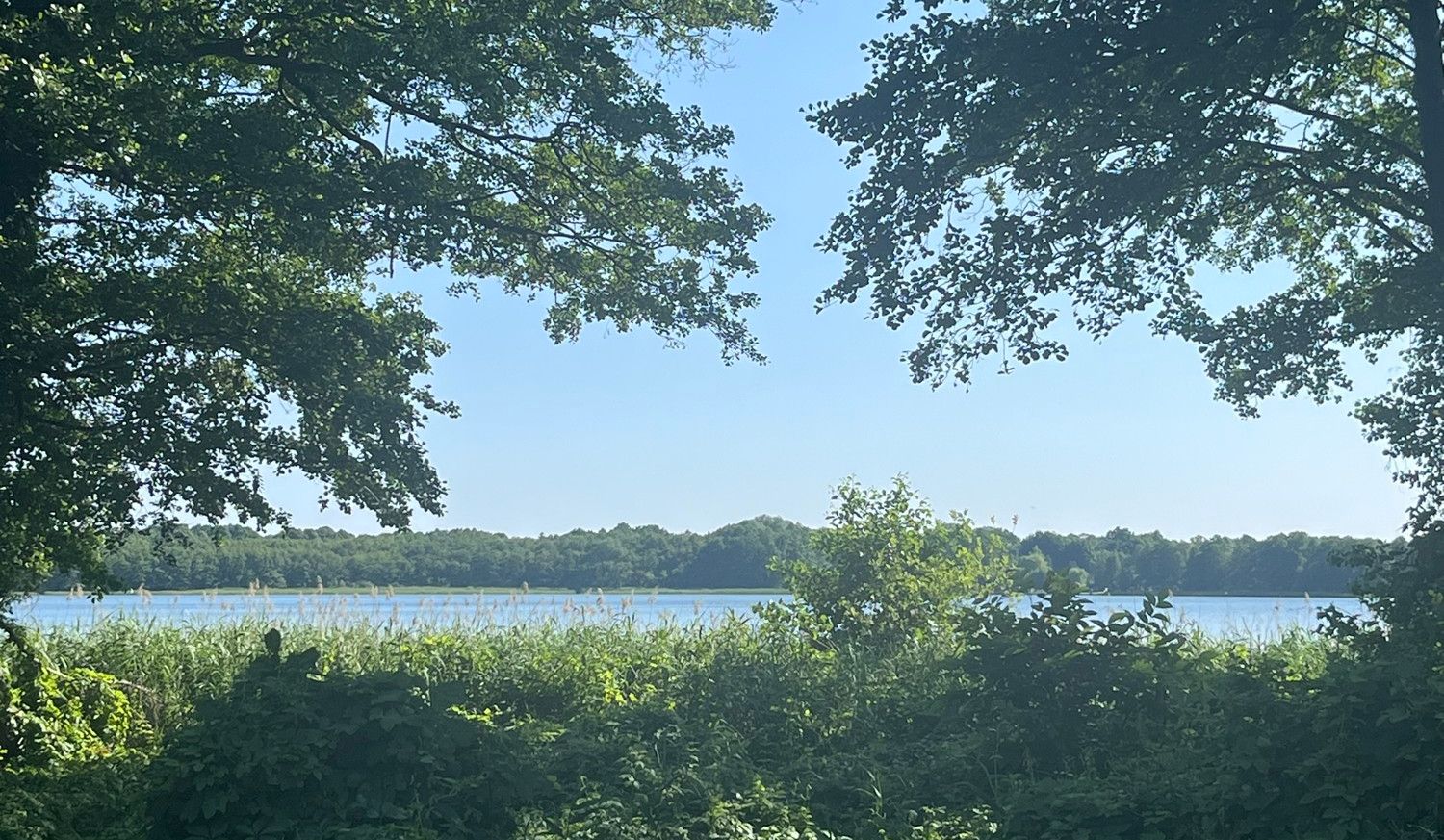 Wandlitzsee