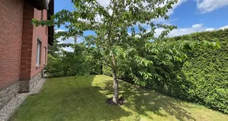 von_poll_real_estate_property_25412024_image_14