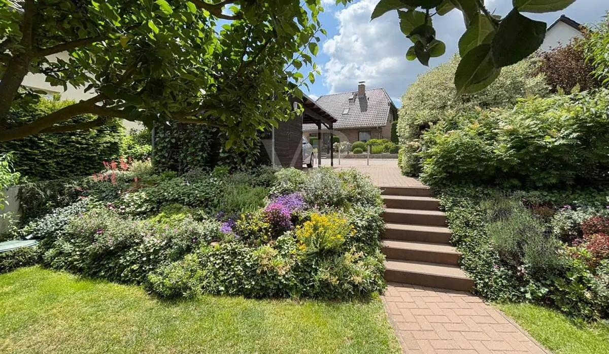 Vorgarten / Zugang Carport