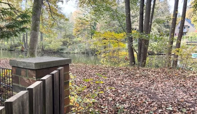 Blick über Gartenzaun