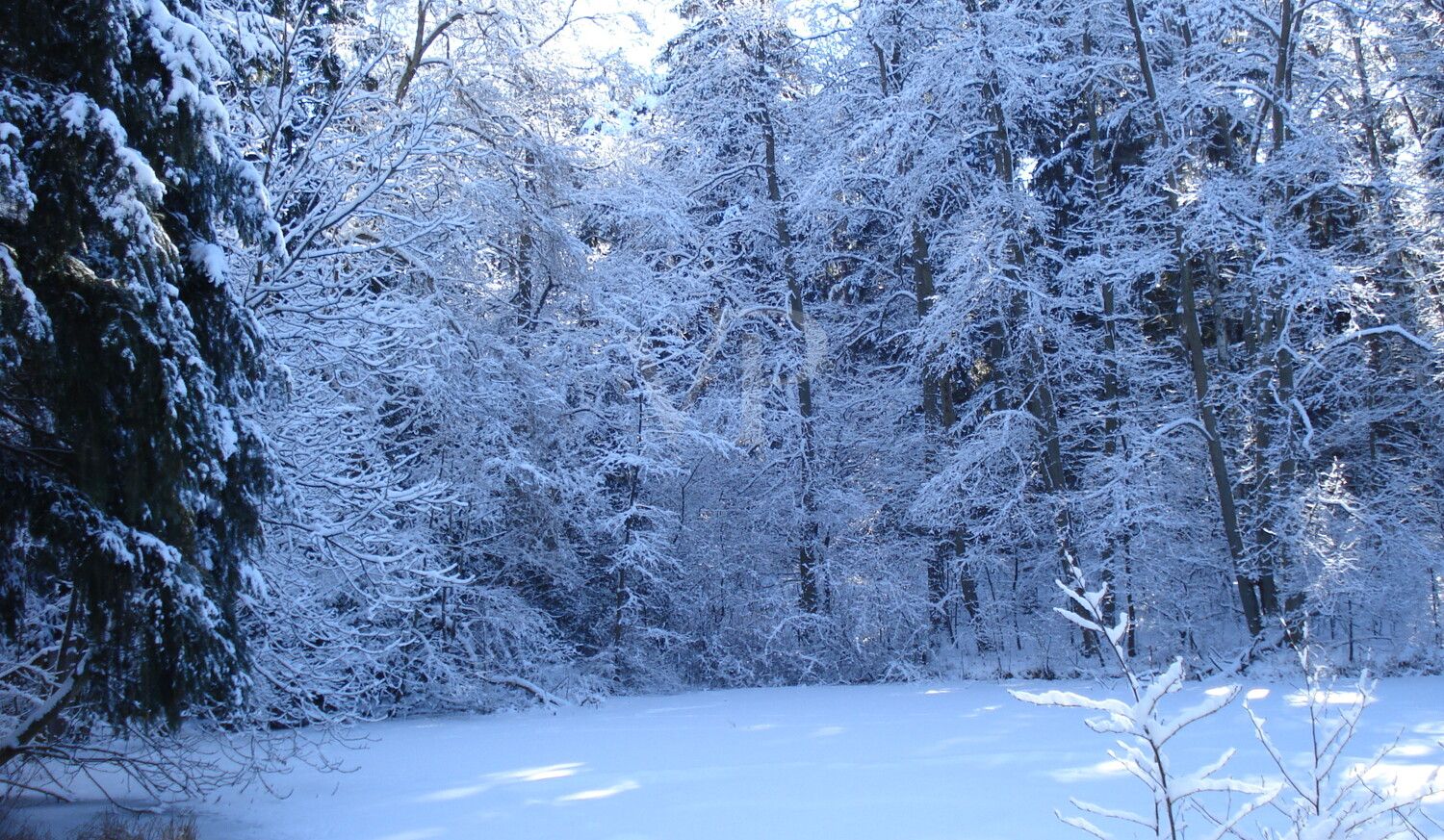 Winter Impression 2