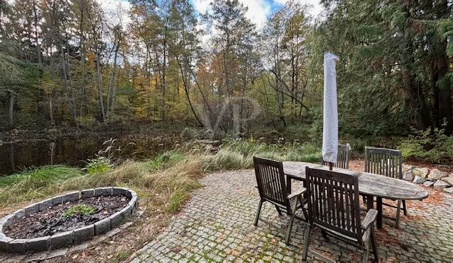 Blick Garten auf Teich