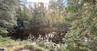 von_poll_real_estate_property_25412031_image_20