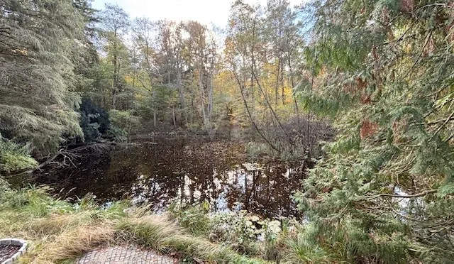 Naturteich auf dem Grundstück