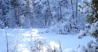 von_poll_real_estate_property_25412031_image_28