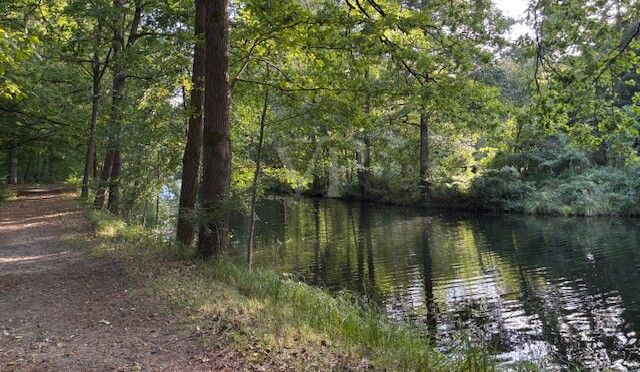 Werbellinkanal