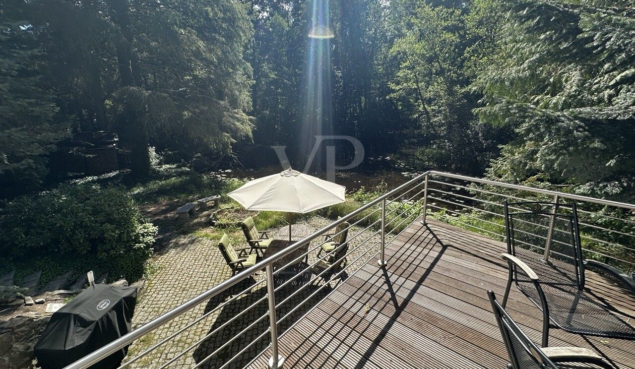 Blick Terrasse auf Teich