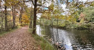 von_poll_real_estate_property_25412031_image_24