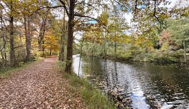 Werbellinkanal im Herbst