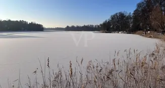 von_poll_real_estate_property_25412028_image_3