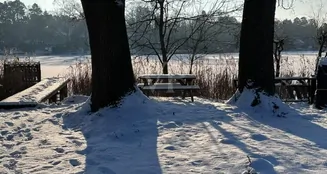 von_poll_real_estate_property_25412028_image_2