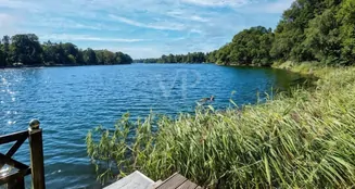 von_poll_real_estate_property_25412028_image_0