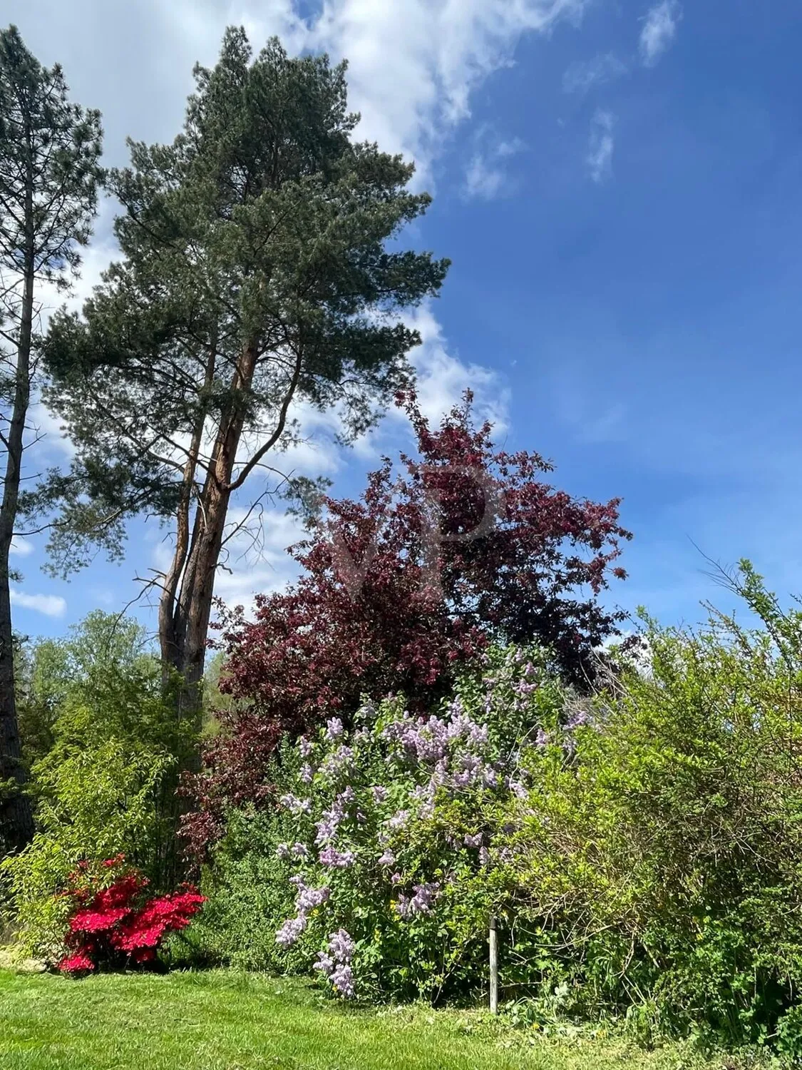 Sommergarten