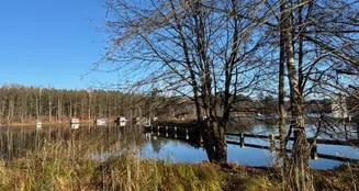 von_poll_real_estate_property_26412002_image_19