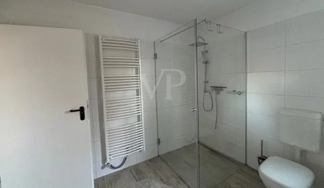 geräumiges Duschbad