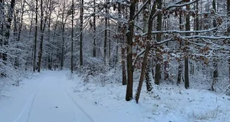 von_poll_real_estate_property_26412002_image_16