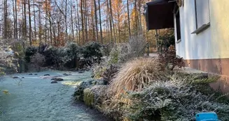 von_poll_real_estate_property_26412002_image_11