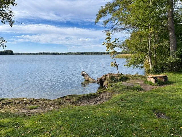 Wandlitzsee an der freien Badestelle