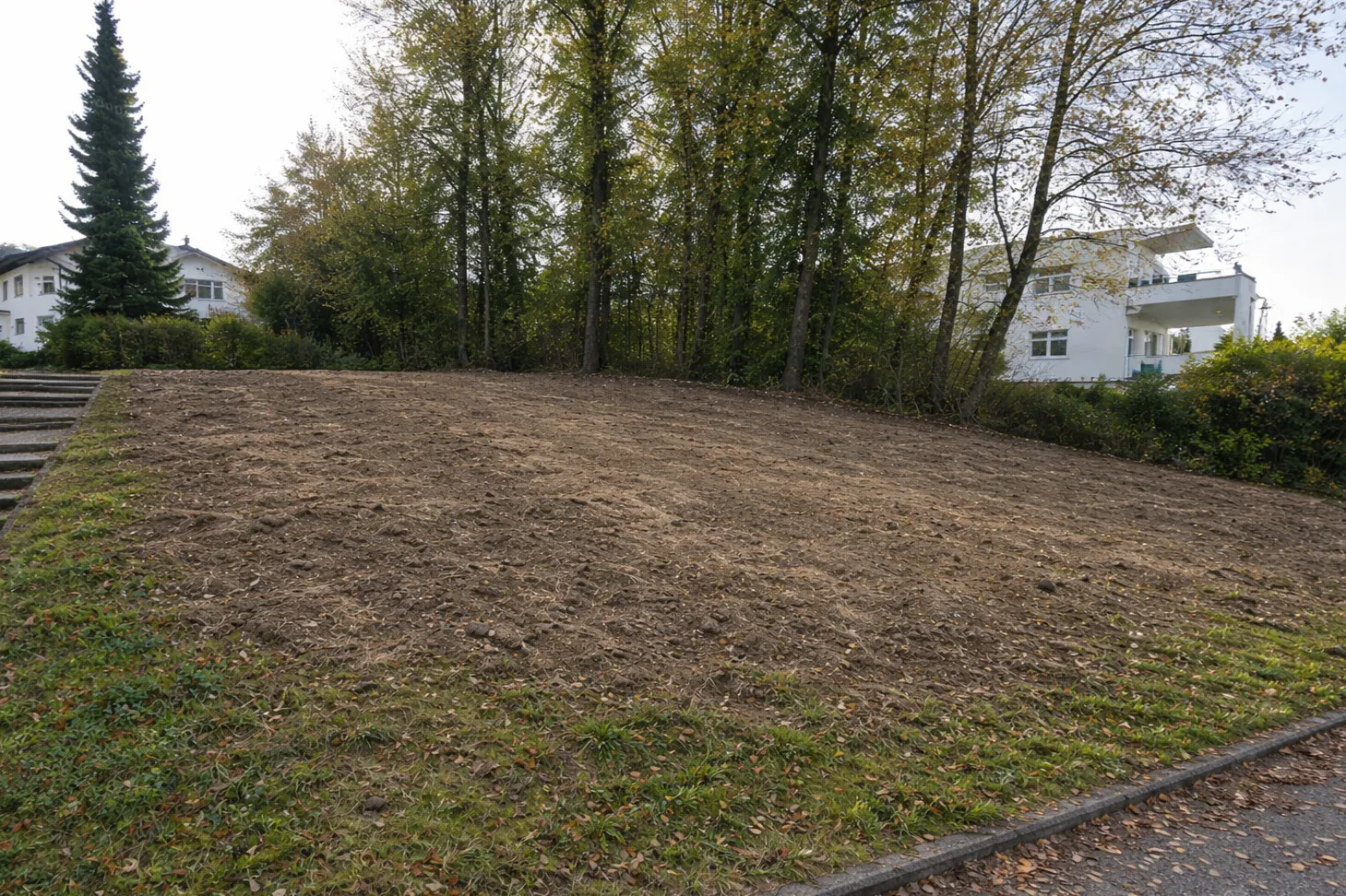 Grundstück gerodet (KI-bearbeitet)