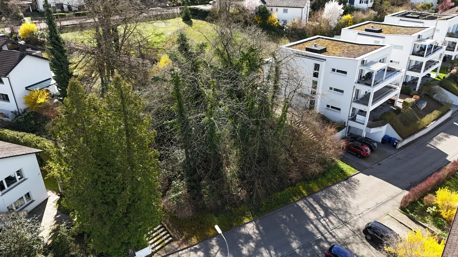 Draufsicht