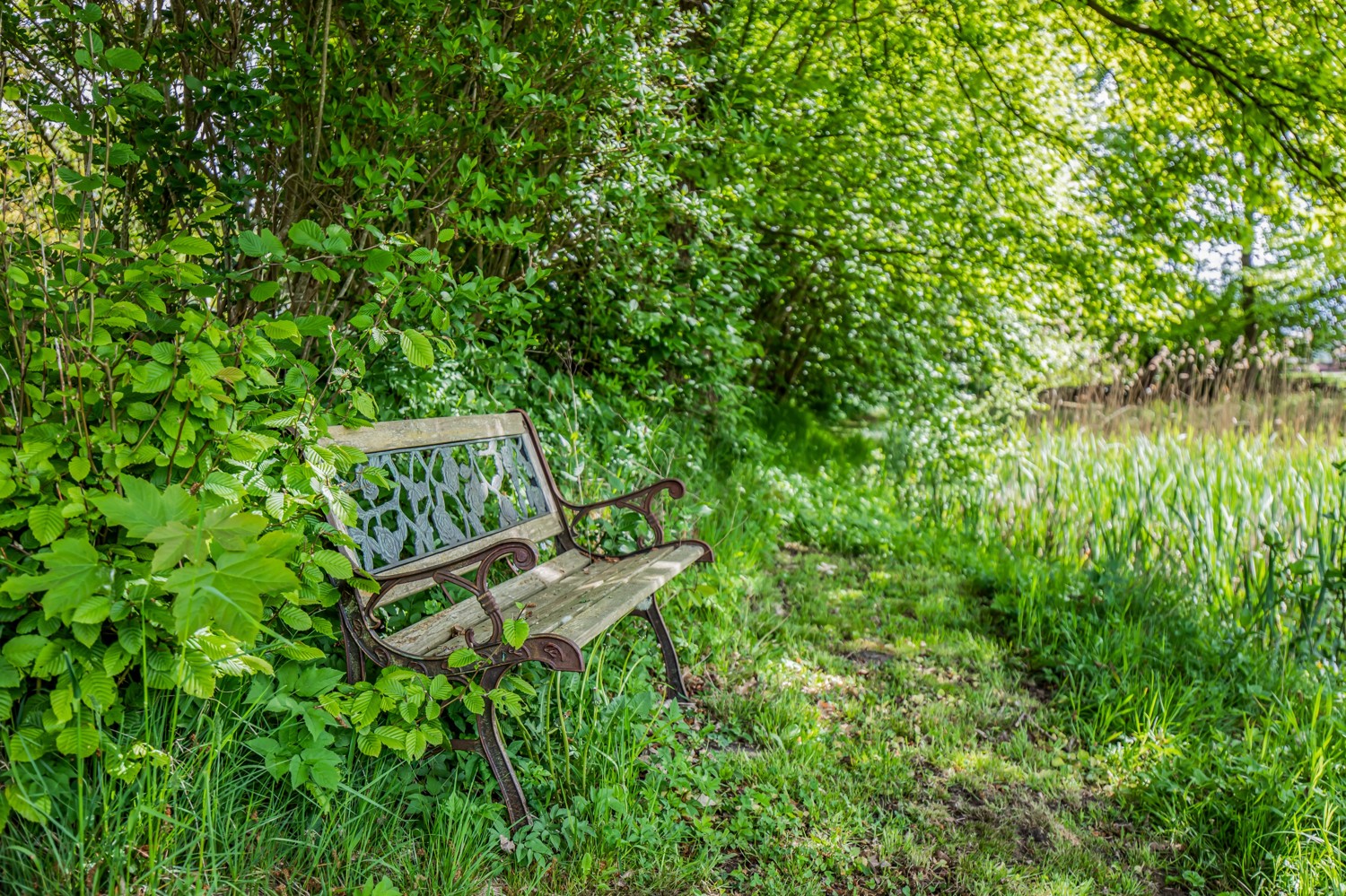 Garten