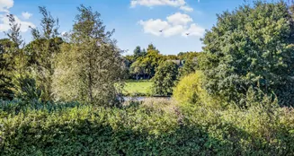 von_poll_real_estate_property_25053132_image_6