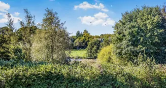 von_poll_real_estate_property_25053132_image_6