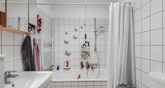 von_poll_real_estate_property_25053152_image_6